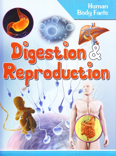 Human Body Facts: Digestion & Reproduction | OM KIDZ