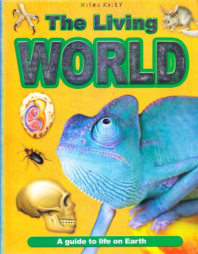 The Living World | Miles Kelly Publishing