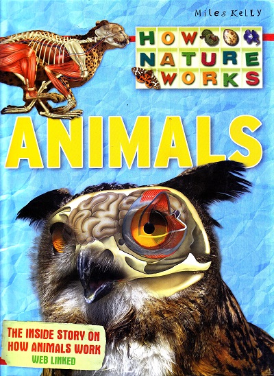 How Nature Works Animals | Miles Kelly Publishing