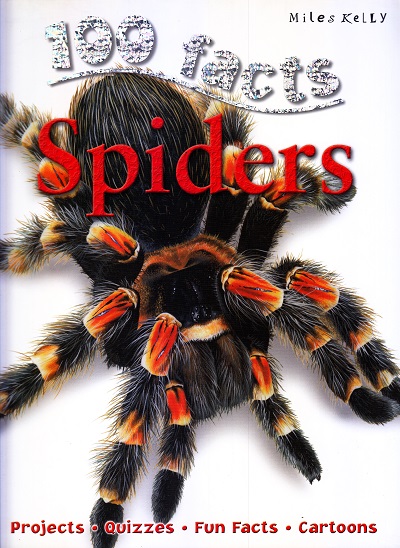 100 Facts Spiders | Miles Kelly Publishing