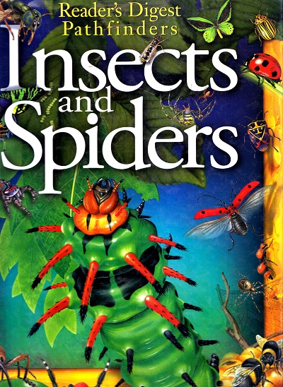 Insects and Spiders | Reader's Digest