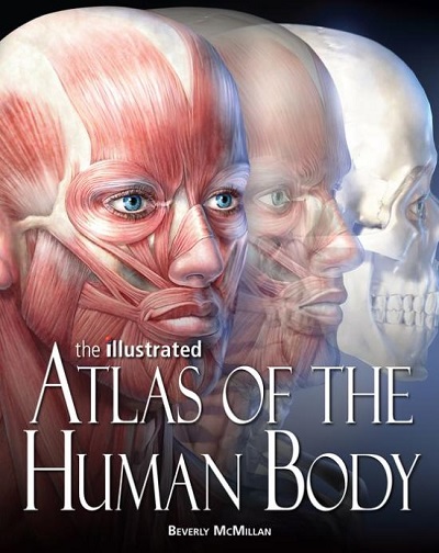 The Illustrated Atlas of the Human Body | Dr. Beverly McMillan | Weldon Owen Pty Ltd.