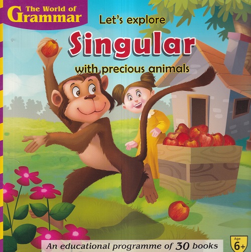 Let's Explore Singular | Shree Book Centre