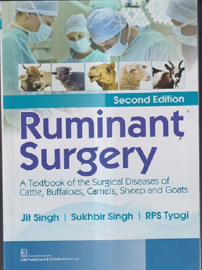 RUMINANT SURGERY