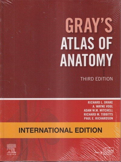 GRAYs ATLAS OF ANATOMY | RICHARD L. DRAKE, A. WAYNE VOGL, ADAM W.M. MITCHELL, RICHARD M. TIBBITTS, PAUL E. RICHARDSON | Elsevier