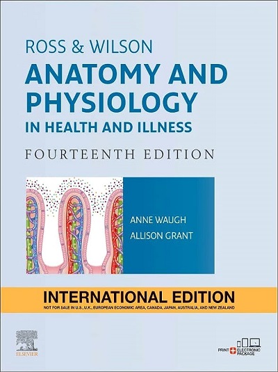 ROSS & WILSON ANATOMY AND PHYSIOLOGY IN HEALTH AND ILLNESS | ANNE WAUGH, ALLISON GRANT | Elsevier