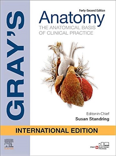GRAYs ANATOMY (The Anatomical Basis Of Clinical Practice) | SUSAN STANDRING | Elsevier