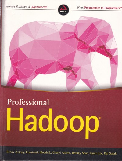 PROFESSIONAL HADOOP | BENOY ANTONY, KONSTANTIN BOUDNIK, CHERYL ADAMS, BRANKY SHAO, CAZEN LEE, KAI SASAKI | Wiley