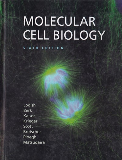 MOLECULAR CELL BIOLOGY | LODISH, BERK, KAISER, KRIEGER, SCOTT, BRETSCHER, PLOEGH, MATSUDAIRA | WH REMAN AND COMPANY