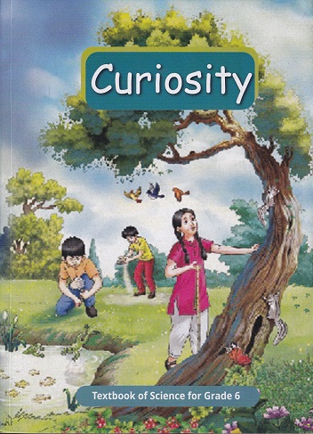 CURIOSITY TEXTBOOK FOR CLASS 6th | NCERT